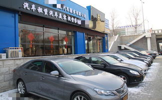 汽車租賃公司老板不小心透露 為什么都買這些車出租？